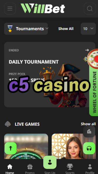 C5 Casino - High Roller Casino Experience-www.bdqngd.com
