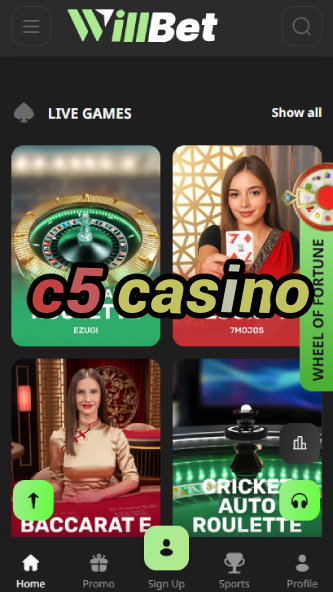 C5 Casino - High Roller Casino Experience-www.bdqngd.com