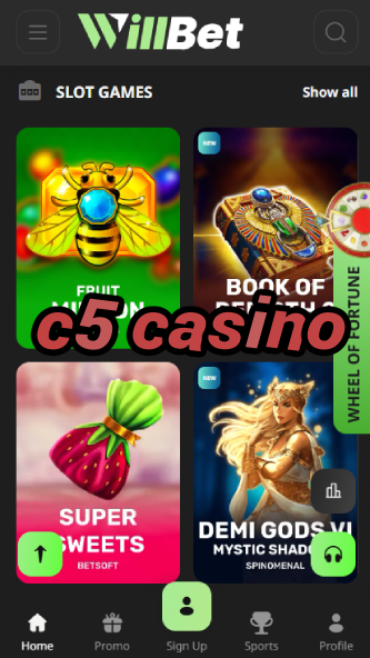 C5 Casino - High Roller Casino Experience-www.bdqngd.com